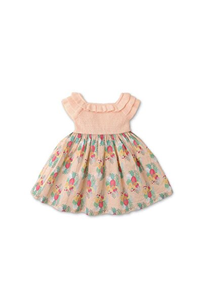 Gingersnaps Girls' Floral Pleated Baby Dress