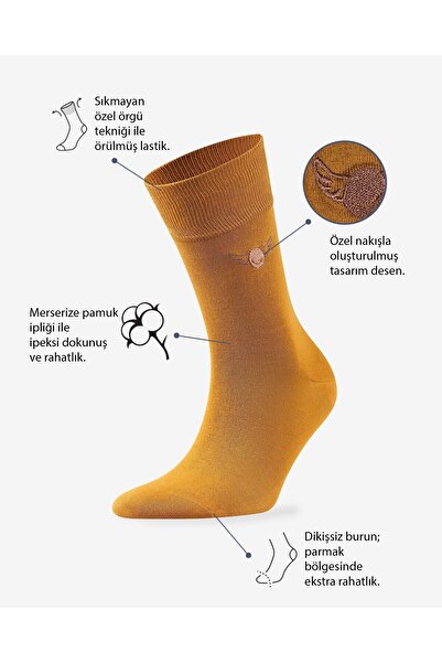 Colorcool Hardal Renkli Düz Merserize Çorap