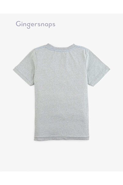 Gingersnaps Boys' Summer Short Sleeve T-Shirt with Round Neck and Print
