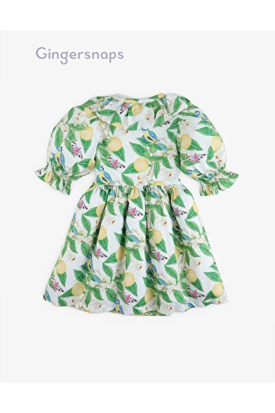 Gingersnaps Girls' Floral Waist-Defined Half-Sleeve Dress