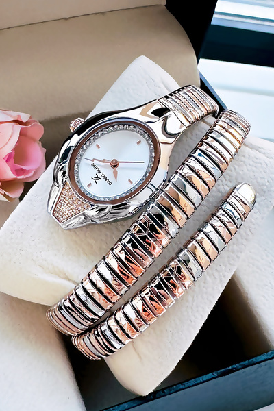 Daniel Klein Snake Watch Model - Women's Wrist Watch, Waterproof Rose Gumus Steel Band - Bracelet Gift Dkby2045C6