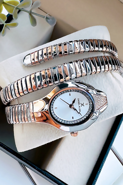 Daniel Klein Snake Watch Model - Women's Wrist Watch, Waterproof Rose Gumus Steel Band - Bracelet Gift Dkby2045C6