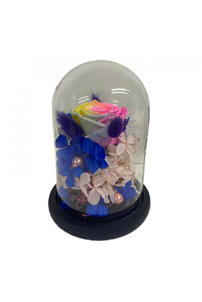 velve Trandafir Criogenat in cupola de sticla cu hortensii si licheni, multic...