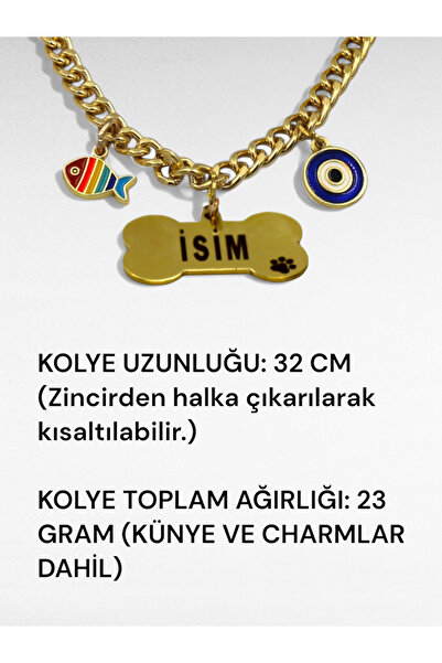 CARAMELOS Paslanmaz Çelik Köpek Kolyesi- İsimli Köpek Tasması - Köpek Zinciri- Köpek Kolyesi-Küçük ve Orta Irk