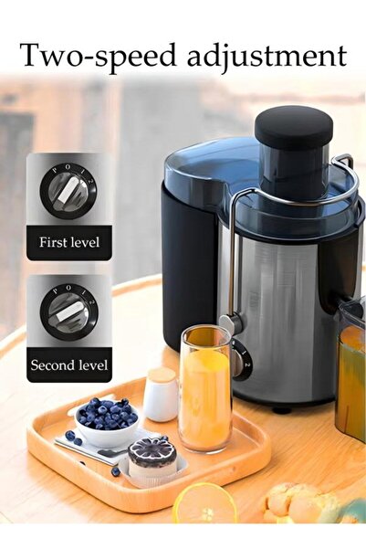 fun zone 800W Wide Mouth Press Juicer Machines Powerful Juicer with Two-layer Filter Dual Speed Control