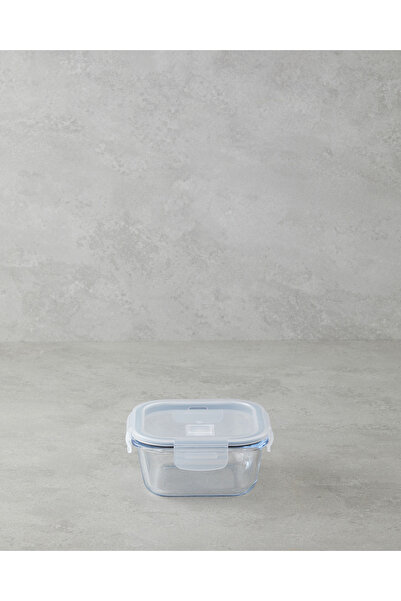 English Home Arian Borosilikat Saklama Kabı 520 ml Şeffaf