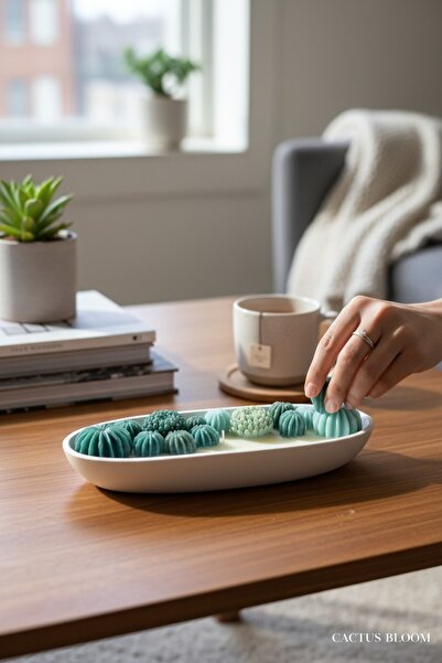 NİLCANDLE Sukulent ve Kaktüs Tasarımlı Beton Saksıda Kokulu Mum – Doğal, Deko...