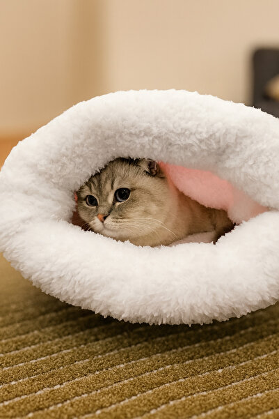 Quun Kedi köpek uyku tulumu yatak Pembe Beyaz velsoft şık tasarım box