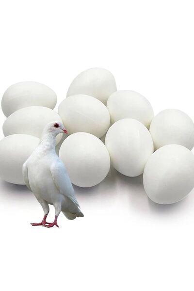 Endiket Kare Yumurtalık Folluk Güvercin Tavuk Folluğu Kare Folluk 5 Adet Yumurtalık Yuva Plastik Pigeon