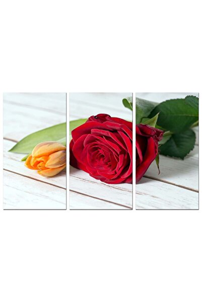 Generic لوحه جداريه - وردة حمراء - 1545 - مقسمه ثلاثة قطع