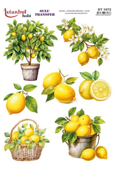 İstanbul Hobi ورق نقل مائي 25x35 سم ST-1072