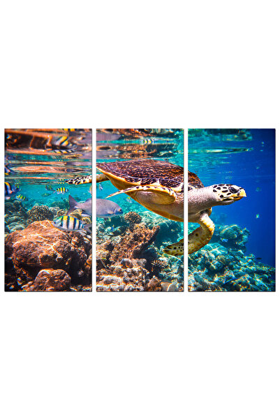 Generic لوحه جداريه - سلحفاه في البحر - 1538 - مقسمه ثلاثة قطع
