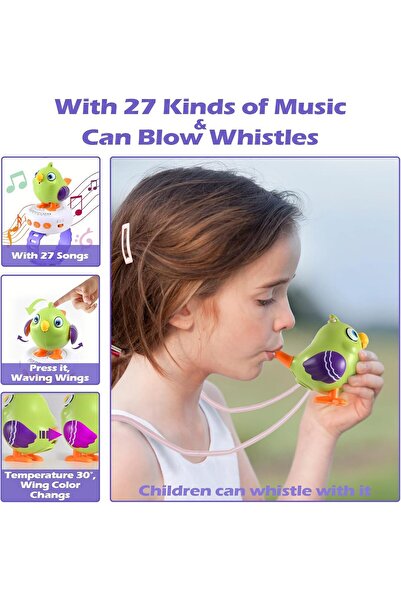 Zen Store ببغاء ناطق مع حزام، يكرر ما تقوله، طائر ناطق للأطفال الصغار، ...