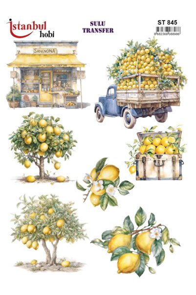 İstanbul Hobi ورق نقل مائي 25×35 سم ST-845