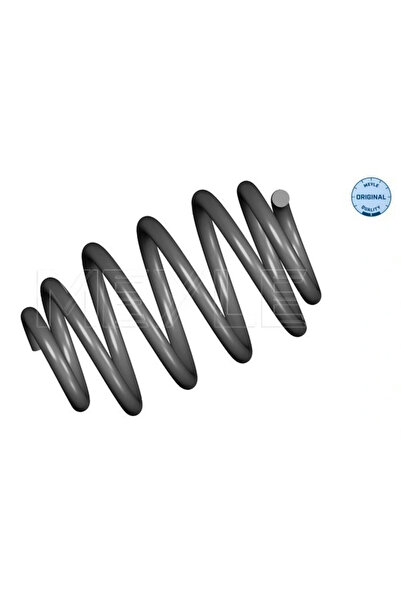 MEYLE Arc Spiral Puntea Spate Renault Clio 2