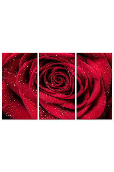 Generic لوحه جداريه - ورده حمراء بقطرات الندى - 1576 - مقسمه ثلاثة قطع