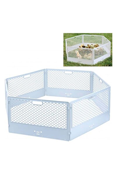 Novital مجموعة حاوية ألواح المرجان للصيصان (صنع في إيطاليا)