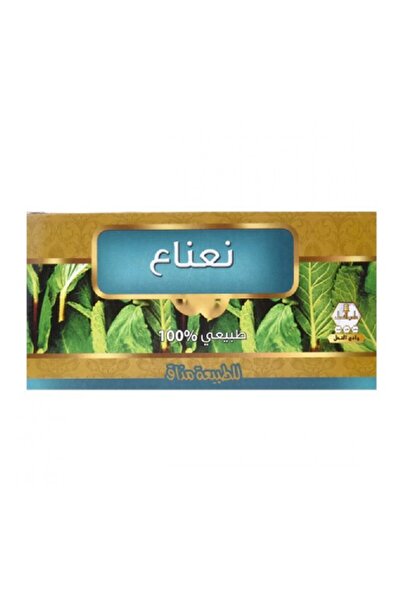 Wadi al-nahil وادي النحل شاي منعش 30 عبوه نعناع