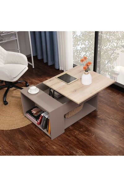 Danube Home Spence Lift-Top Coffee Table with Storage - Grey/Oak - Stylish Wo...