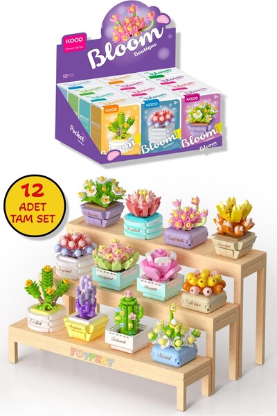 TOYFEST KOCO Saksı Çiçekleri Sukulent Serisi 3D Puzzle Koleksiyon Tam Set - 1...