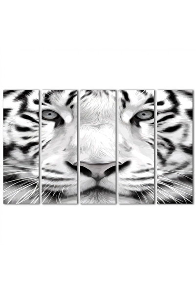 Generic Wall panel - White tiger - 1527 - divided into five equal pieces