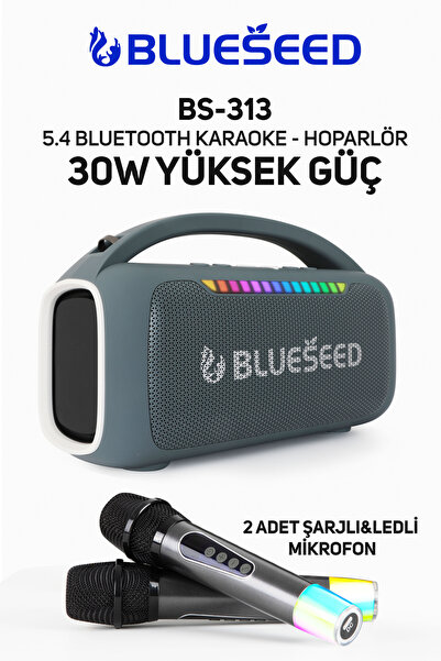 blueseed Şarjlı 30W yüksek güç karaoke hoparlör çift mikrofon