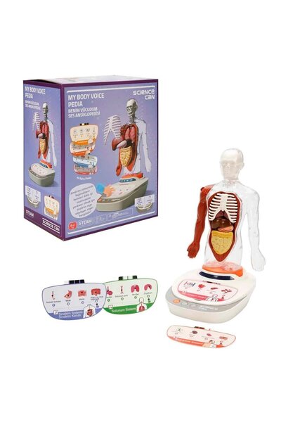 PopŞeker Türkçe Sesli Ansiklopedik İnsan Vücudu Modeli – 15 Parçalı Çıkarılab...