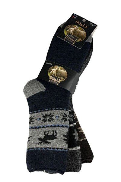 Dacali Socks 3 pairs men's socks alpaca wool socks