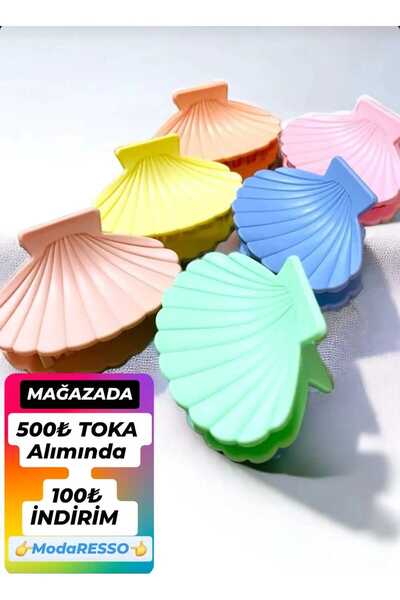 modares 6 Pieces Seashell Clam Trend Model Latch Clasp Large Size 7 cm