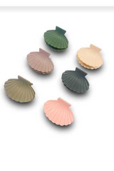 modares 6 Pieces Seashell Clam Open Colorful Model Clasp Buckle Large Size 7 cm