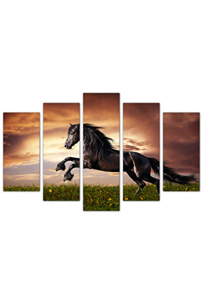 Generic Wall panel - Black Horse - 931 - Divided into five graduated pieces - 1
