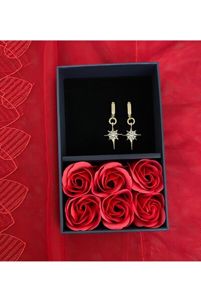 stainles steel çelik kutup yıldızı küpe