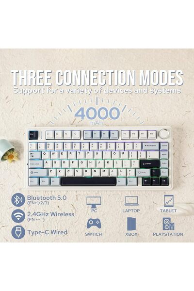 Epomaker لوحة مفاتيح ميكانيكية لاسلكية x AULA F75 75% Gasket، قابلة للتبديل السريع، RGB (أزرق فاتح، LEOBOG