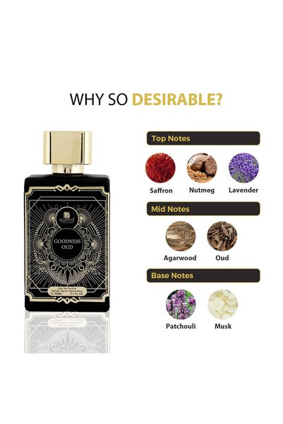 Riiffs Goodness Oud For Men Eau De Parfum 100ML
