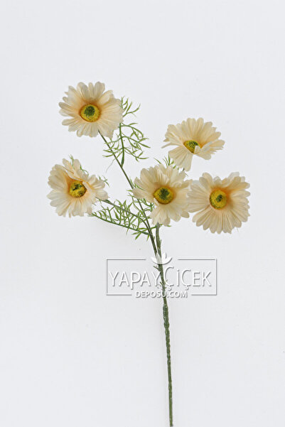 Yapay Çiçek Deposu Yapay Çiçek 5 Çiçekli iskandinav Papatya Dalı 80 cm Krem YCD-311
