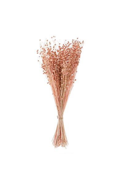 OEM Buchet Decorativ cu Planta Artificiala Seminte Roz 50 centimetri