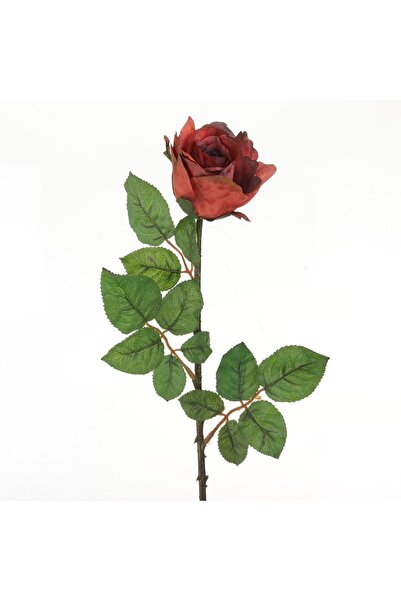 OEM Τεχνητό Λουλούδι με Μακρύ Στέλεχος Τριαντάφυλλο Καφέ Κόκκινο 66 εκατοστά