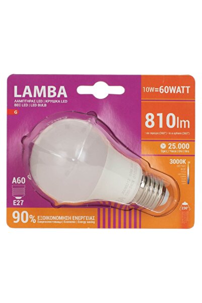 OEM LED Bulb E27 10W (A60) - Warm Light