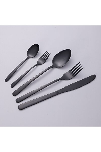 OEM Stainless Steel Spoons Black 21cm - 2pcs