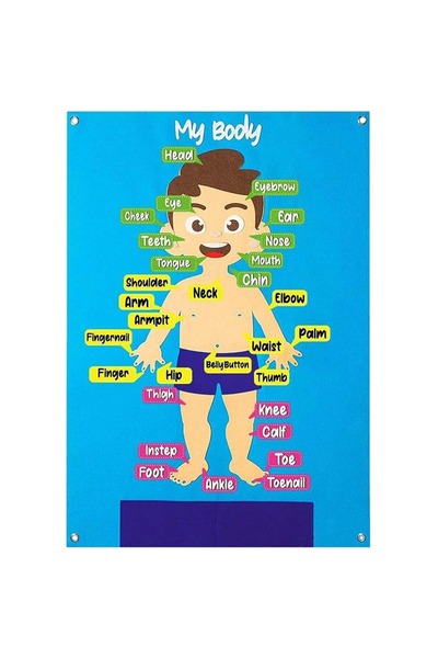 OEM Tablă de activități pentru copii, din fetru, 70 x 57 cm, 32 de piese tematice, învață părțile corpului în engleză