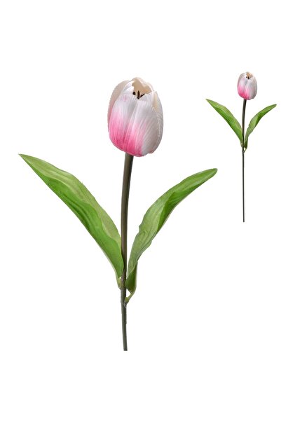 OEM Lalea Crem/Roz 52cm