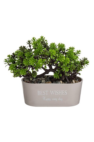 OEM Decorative Pot Taupe with Artificial Bonsai Plant & "Best Wishes" Message 15x7x17cm