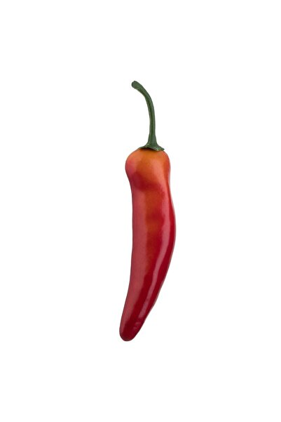 OEM Artificial Plastic Chili Peppers 15 centimeters