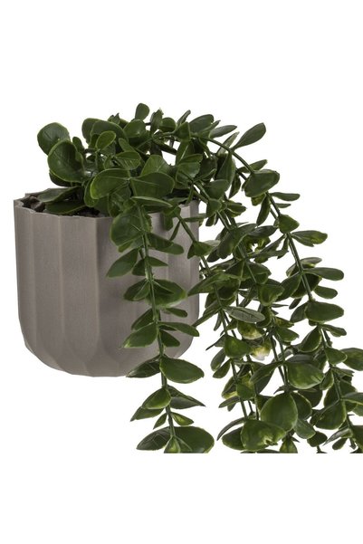 OEM Ghiveci Decorativ din Plastic Taupe cu Planta Artificiala Curgatoare Ø8x25cm