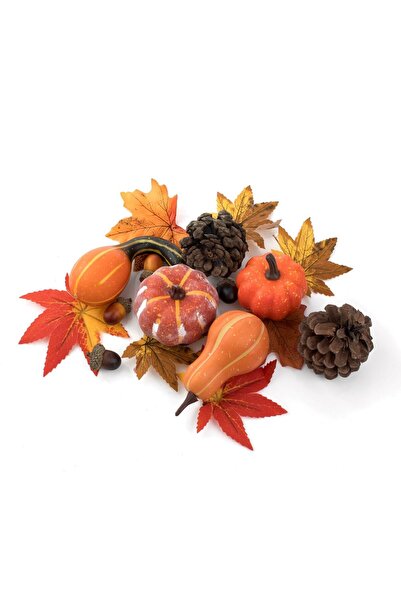 OEM Set Decorativ cu Dovleci Frunze Conuri Ghindine - 17buc