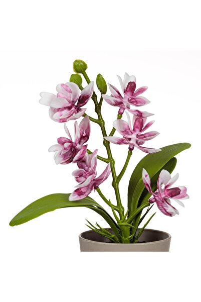 OEM Decorative Beige Plastic Pot with Artificial Orchid Plant Ø6x17cm