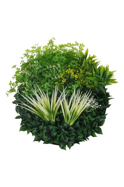 OEM Tablou cu Verdeata 3D & Plante Ø55cm