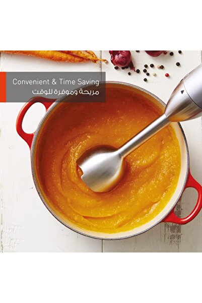 PANASONIC Panasonic 4 in 1 Hand Blender - 600 Watts Stainless Steel MX-SS 40