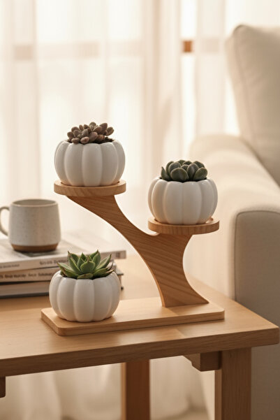 decoronay 3' lü Kabak Şeklinde Sukulent ve Kaktüs Saksısı ( Çiçek ve Stand HARİÇTİR)