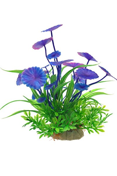 THK buchet de flori, ghiveci, Sărut Purpuriu